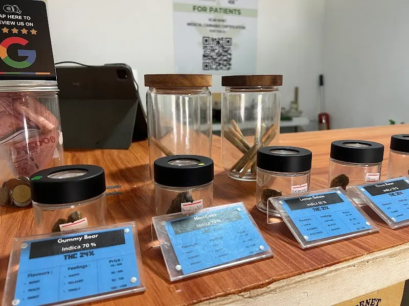 Cloud 420 – Medical Cannabis Clinic Koh Lanta