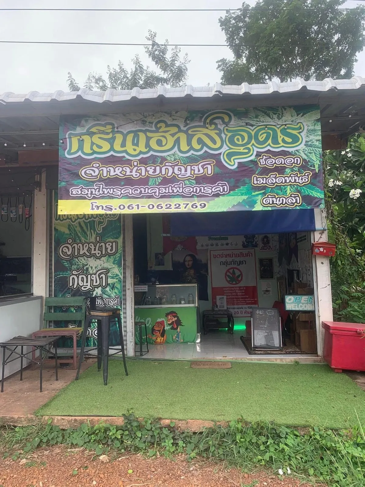 กัญชาออแกนิค100