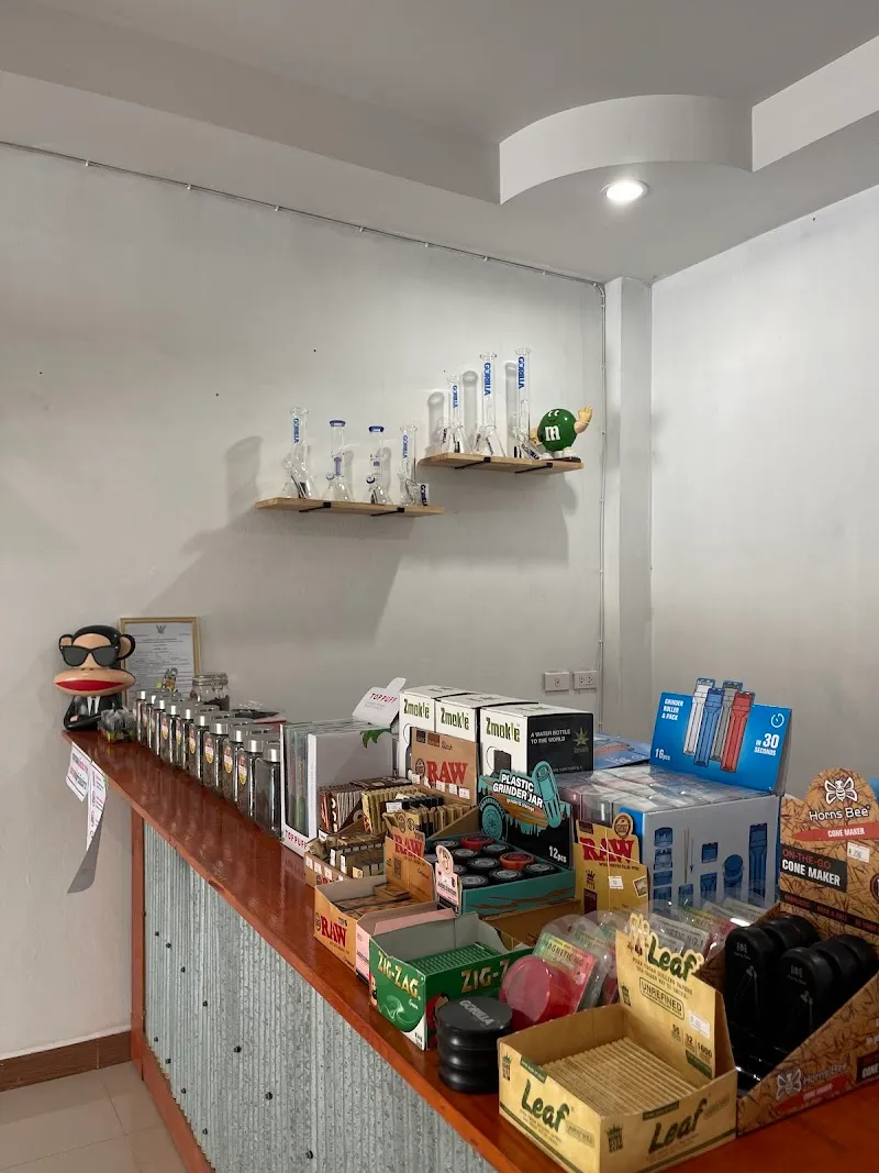 ร้านกัญชาอยุธยา 100K cannabis shop ayutthaya ปลีก-ส่ง