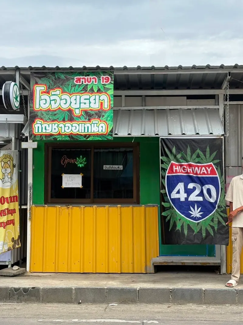 โอจี อยุธยา กัญชาออแกนิค สาขา19-พระอินทร์
