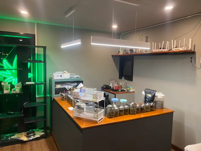 24/7 weed shop กัญชาจันทบุรี chanthaburi cannabis สาขาท่าใหม่