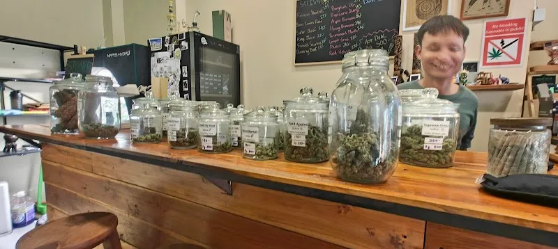 2Morrow Fresh Weed PAI Store (Cannabis Shop)