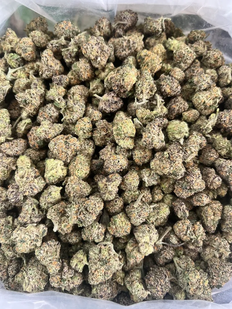 ใบกัญ 420 สาขา3