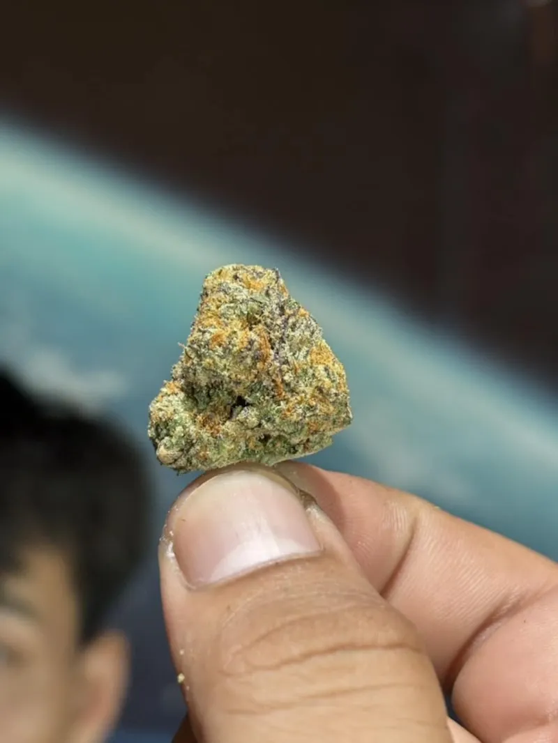 เติมกัญ 420 cannabis @หนองแสง