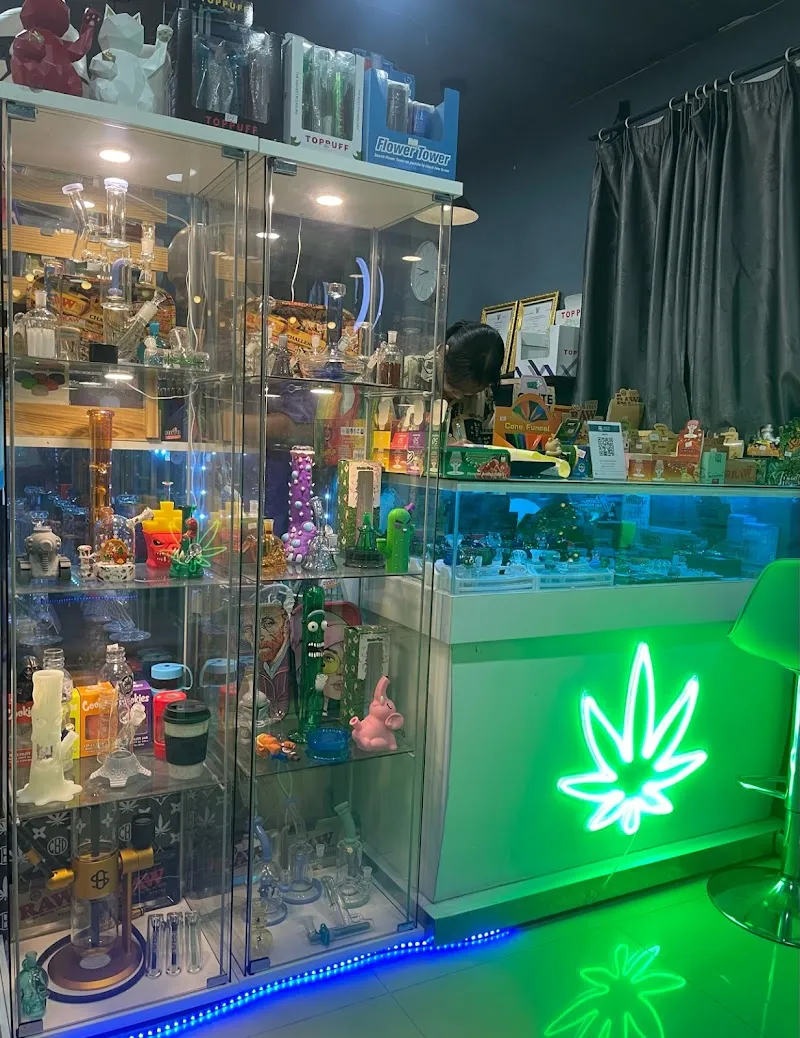 ร้านกัญชาอยุธยา 420 Exclusive cannabis shop Ayutthaya