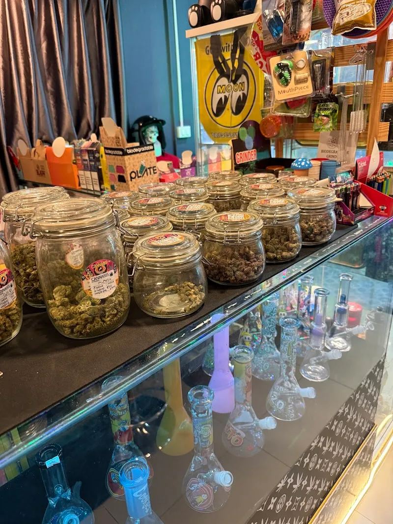 ร้านกัญชาอยุธยา 420 Exclusive cannabis shop Ayutthaya