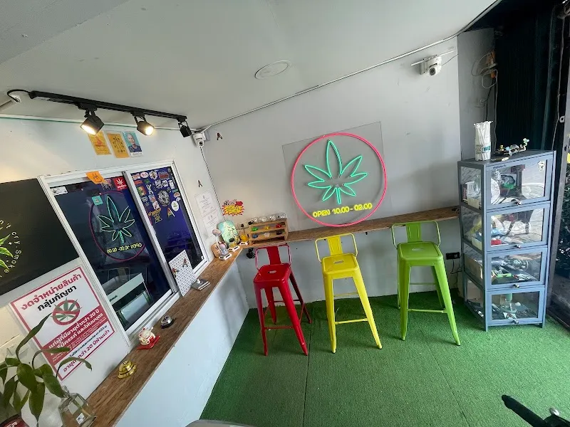 AA cannabis