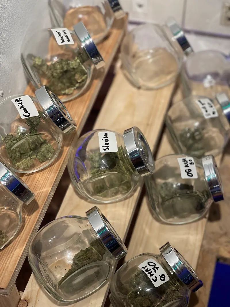 AA cannabis