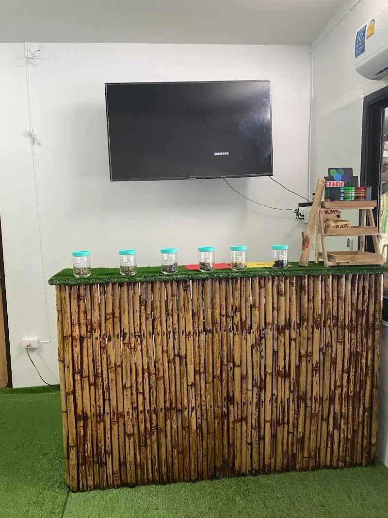 Amsterdam Cannabis Shop