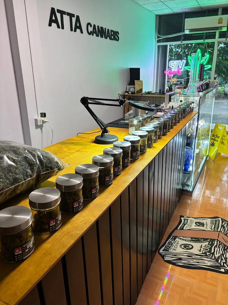 ATTA CANNABIS