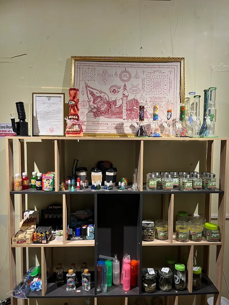 AUNG COBAR ( ร้านกัญชาอยุธยา Smokeweed cannabis Marijuana shop)