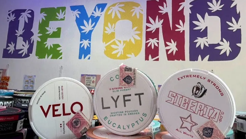 BEYOND CANNABIS - SAIREE