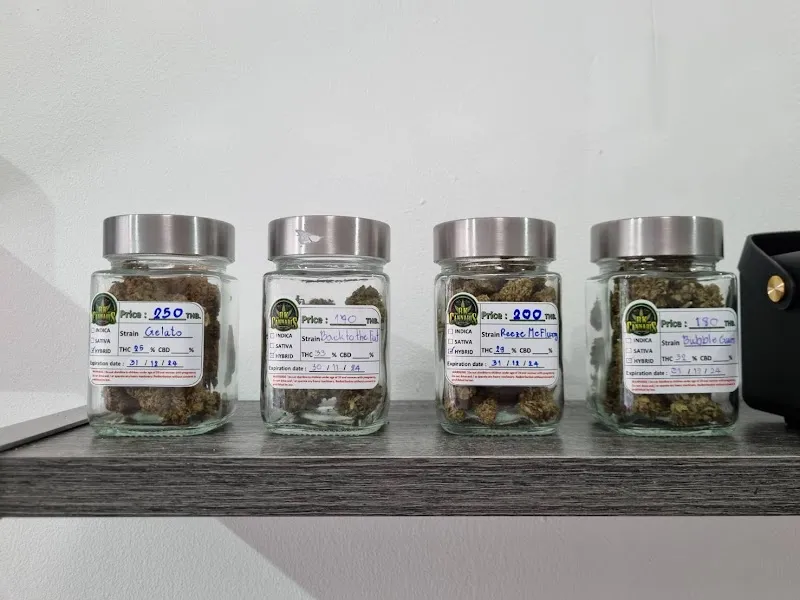 BK Cannabis Dispensary(ร้านกัญชา)(Weed)
