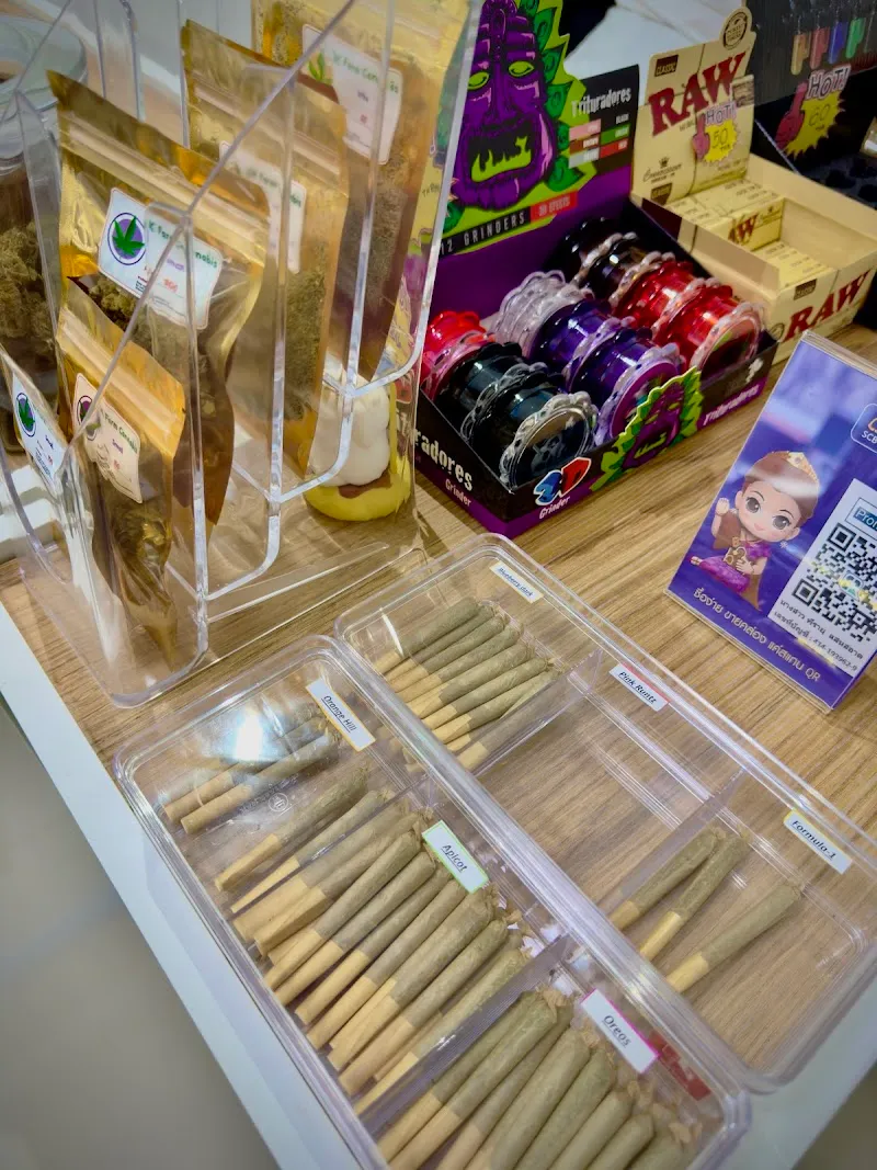 BK Cannabis Dispensary(ร้านกัญชา)(Weed)