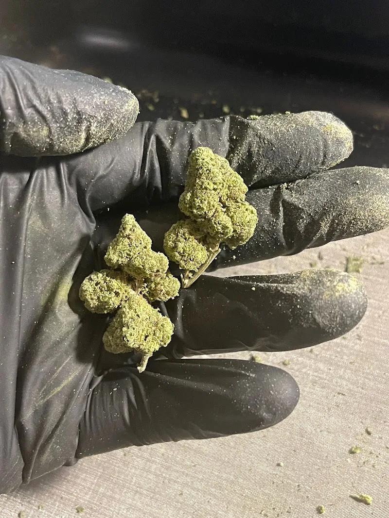 BT Halloweed