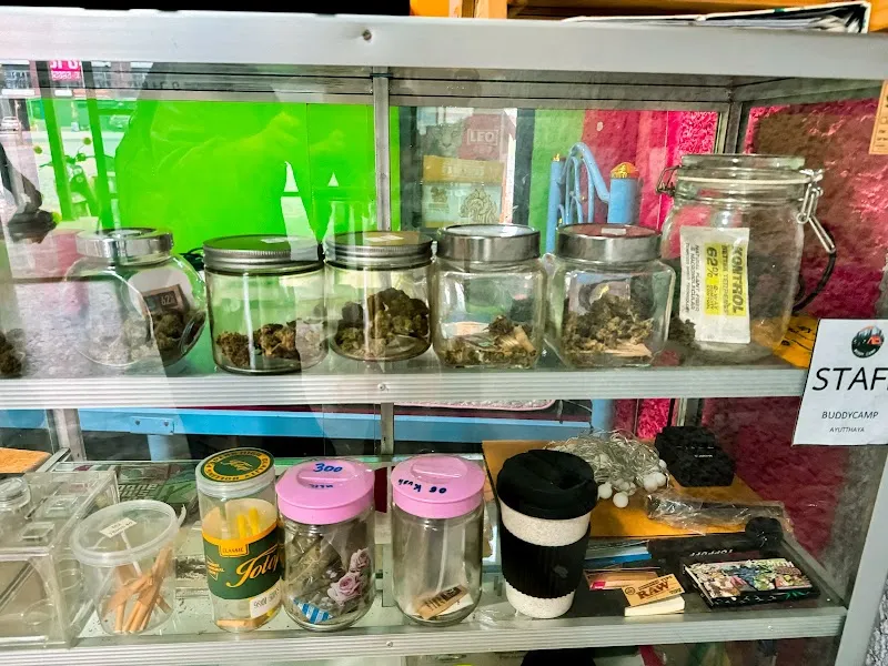 Buddycamp cannabis shop