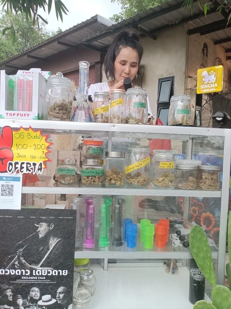Buddycamp cannabis shop