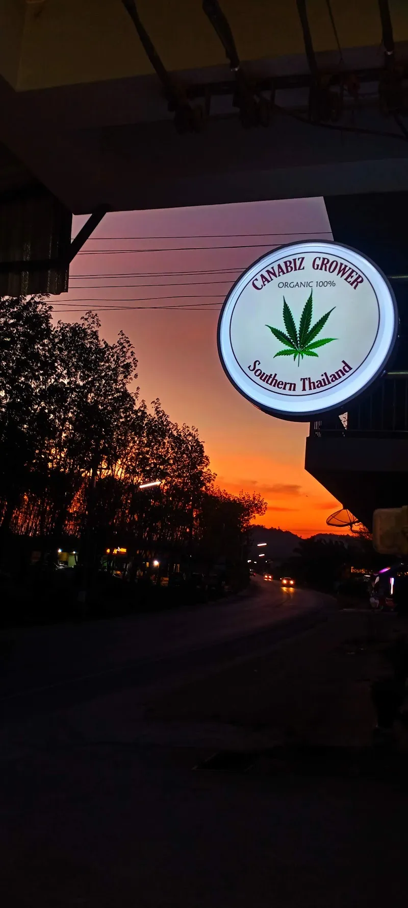 ร้านขายกัญชา CANABIZ GROWER SHOP