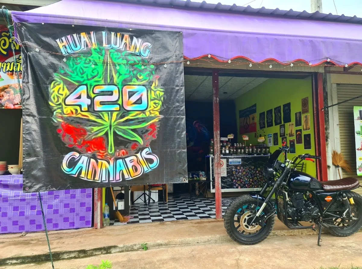 กัญชาห้วยหลวง cannabis