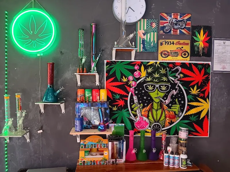 เพลินกัญ cannabis
