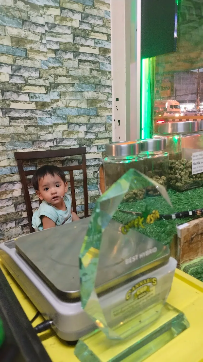 Cannabis Dispensary