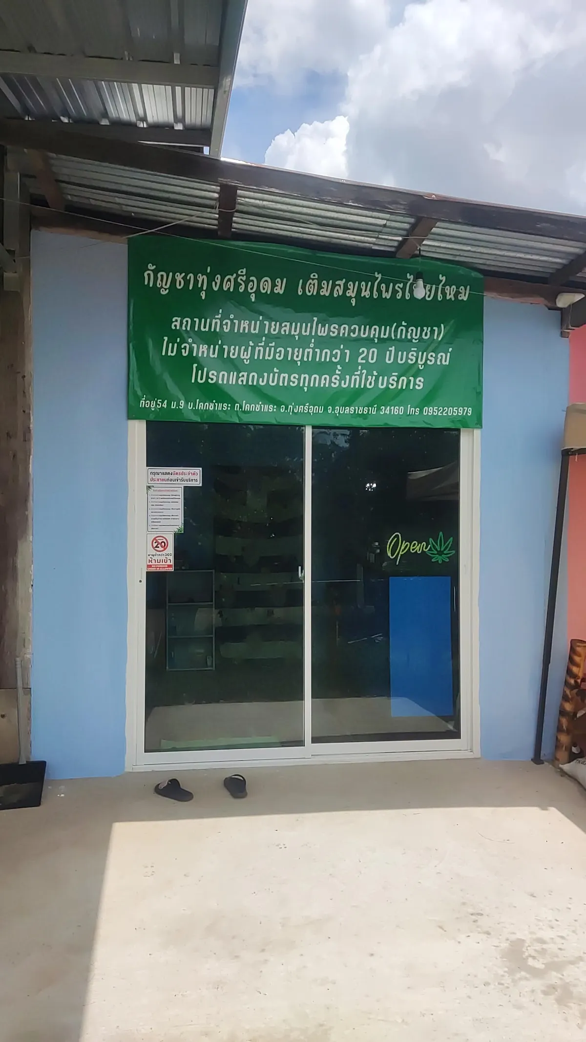 กัญชาทุ่งศรีอุดม เติมสมุนไพรไทยไหม cannabis