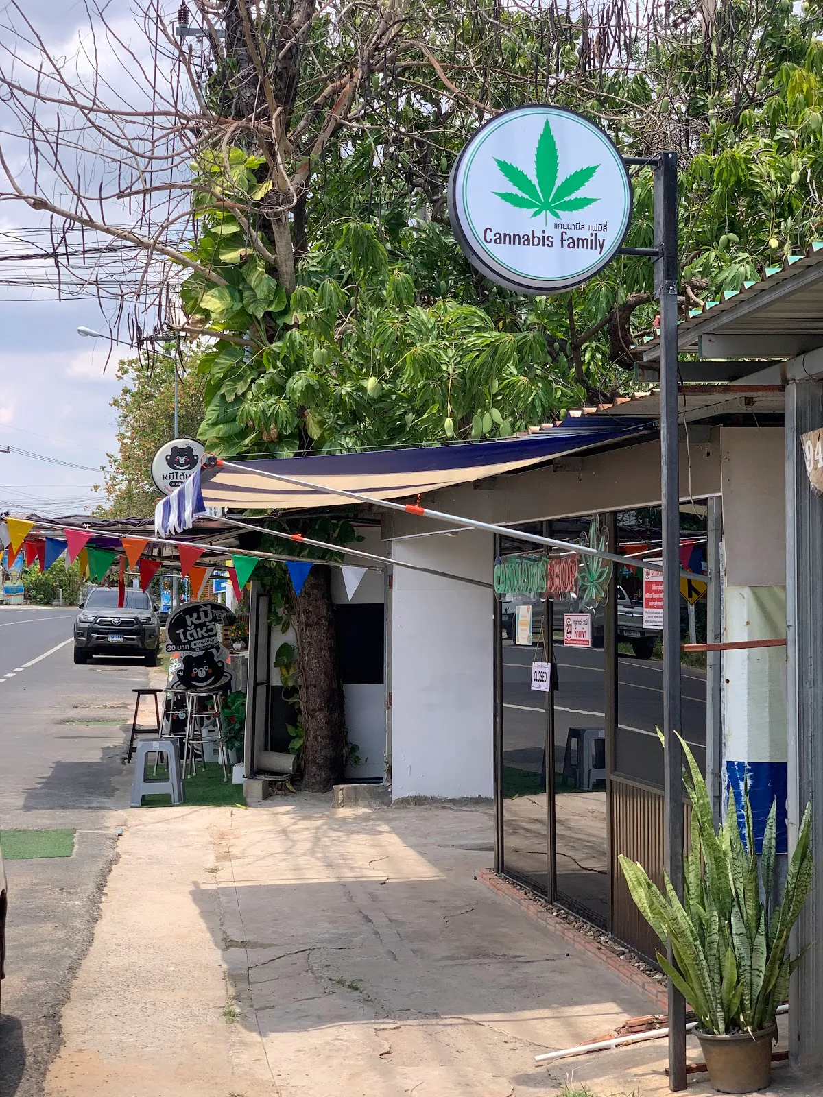 Cannabis Family