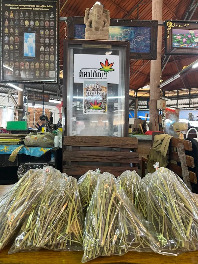 ท็อปกัญ Cannabis