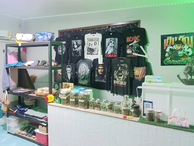 เติมกัญ cannabis