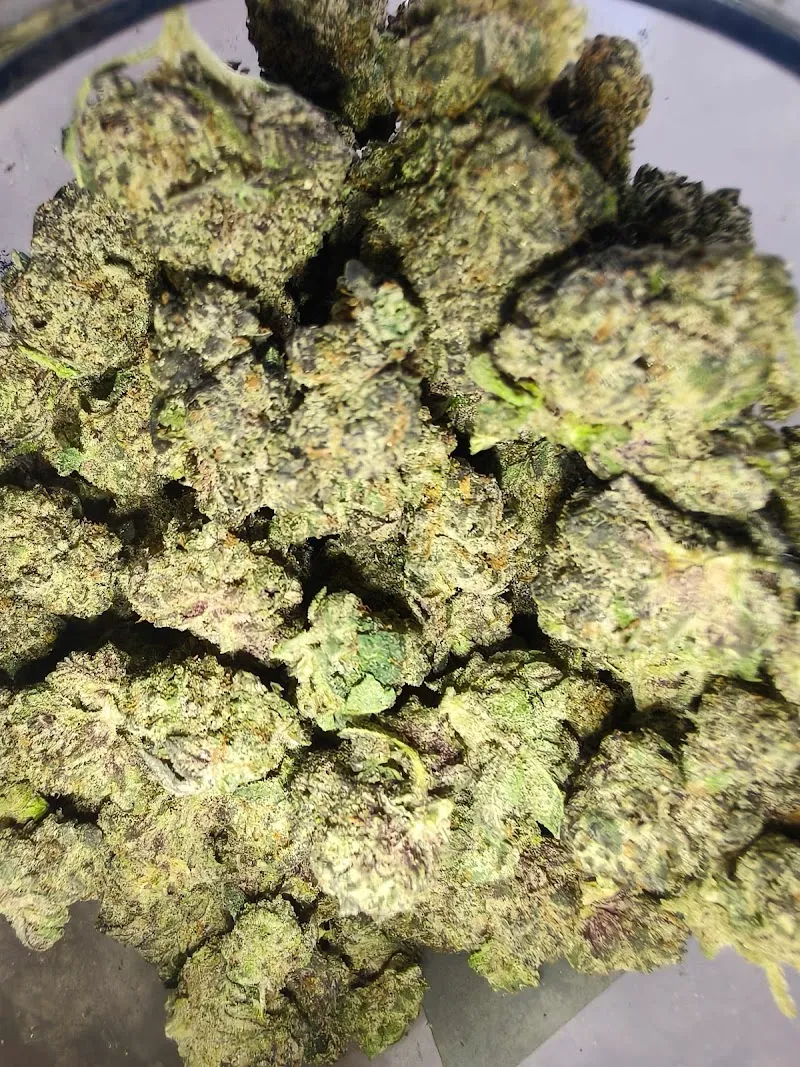 ร้านกัญชากาญดิษฐ์Cannabis420