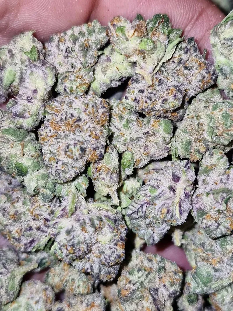 ร้านกัญชากาญดิษฐ์Cannabis420