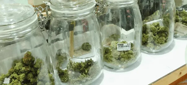CBD flowers & more
