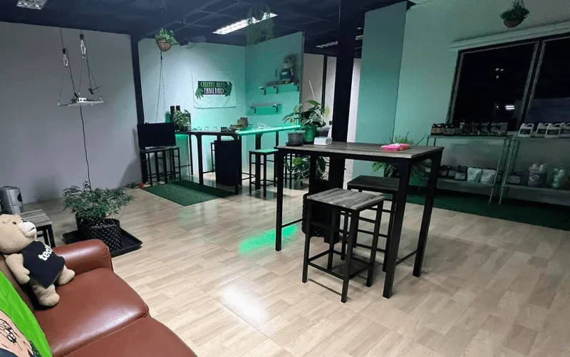 Channel Weed Store