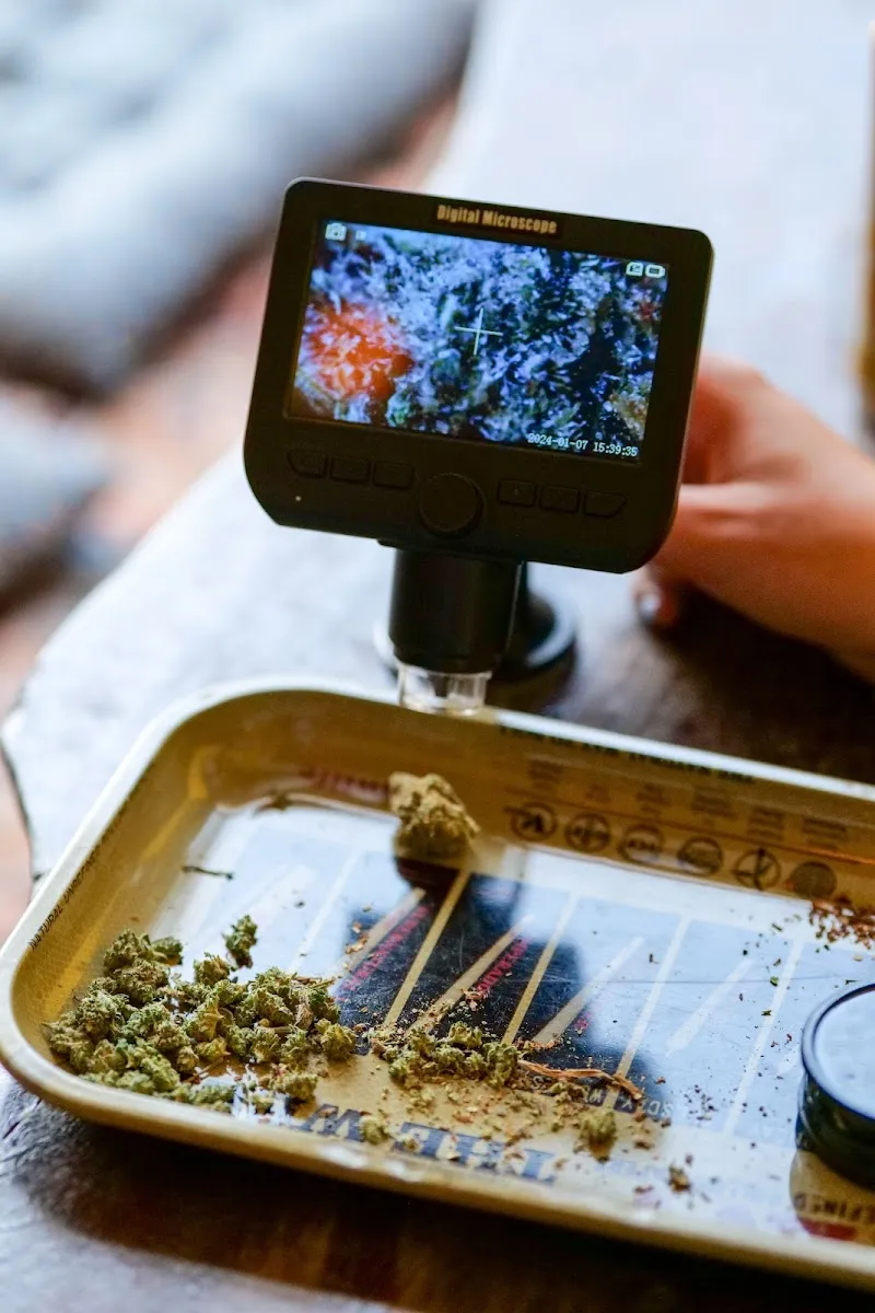 Chica Loca Weed Bar