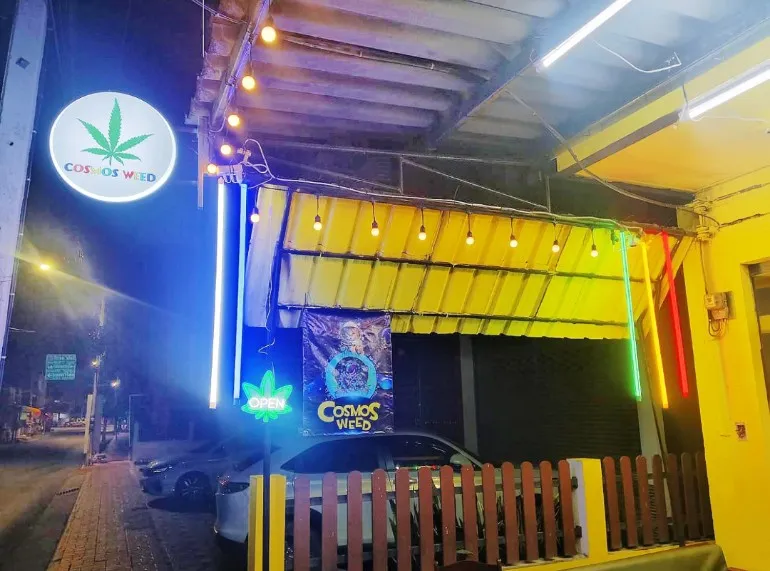 Cosmos weed cannabis