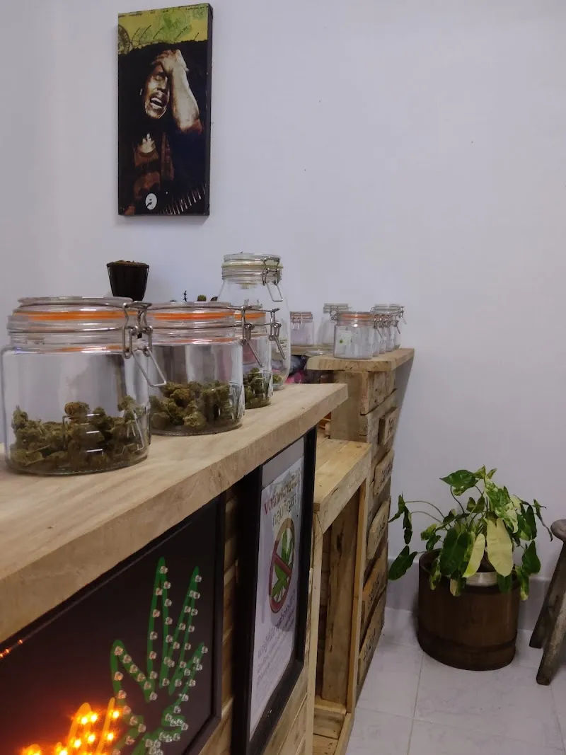 Dan cannabis