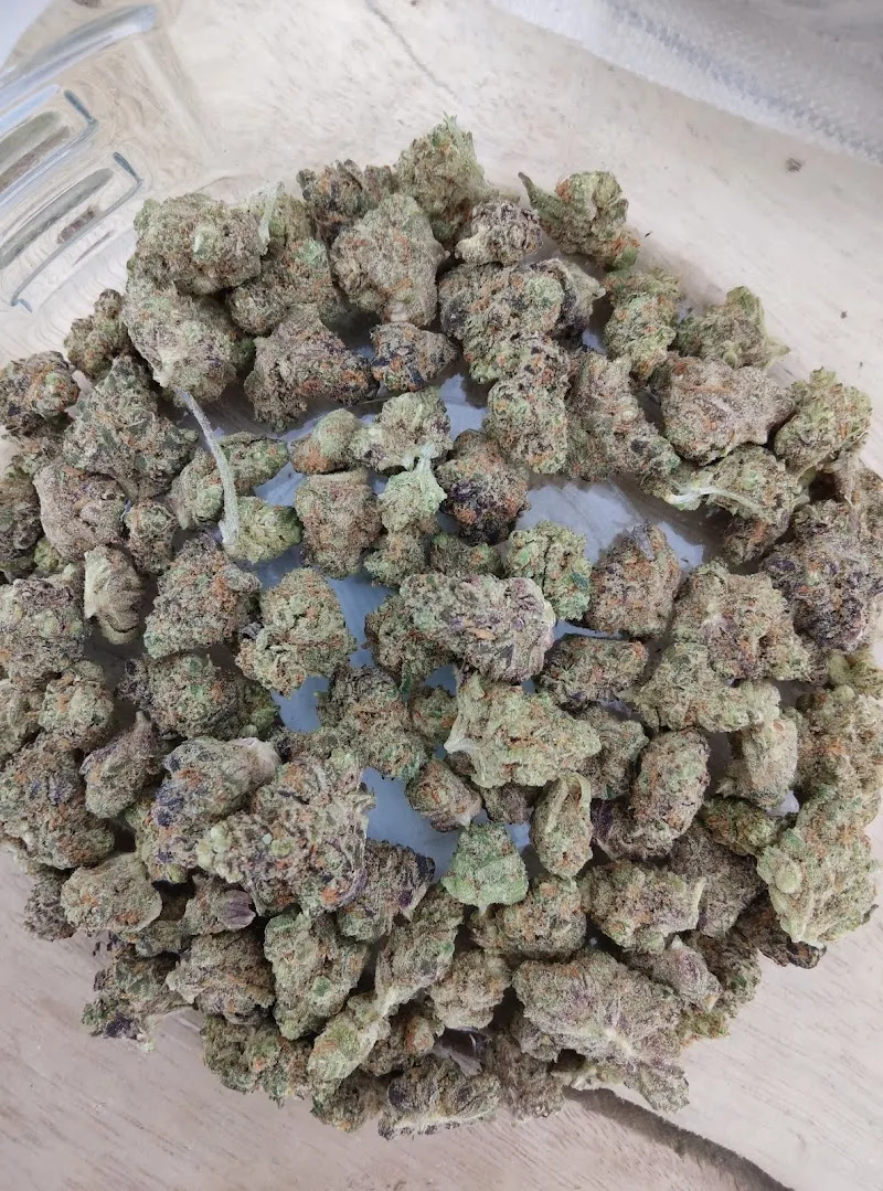 Dan cannabis