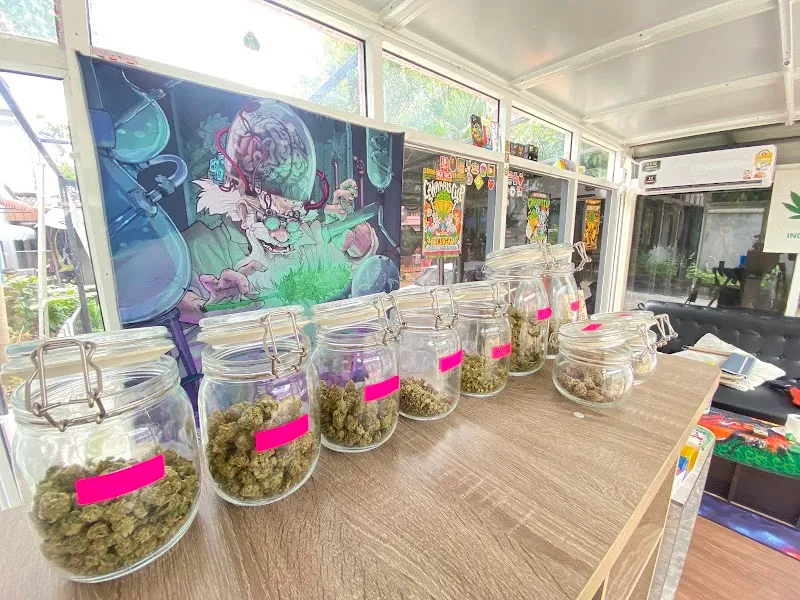 Dope House Cannabis Shop