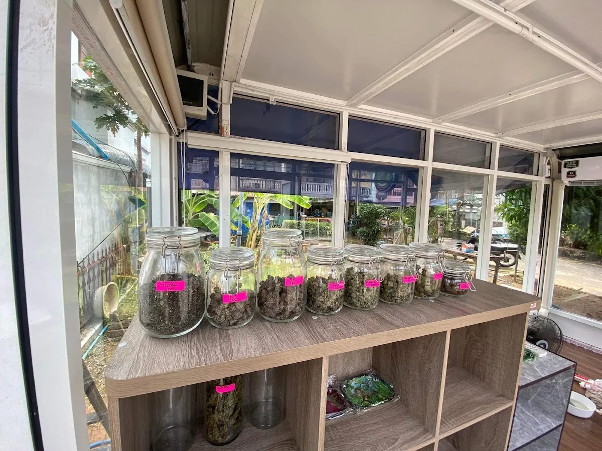 Dope House Cannabis Shop