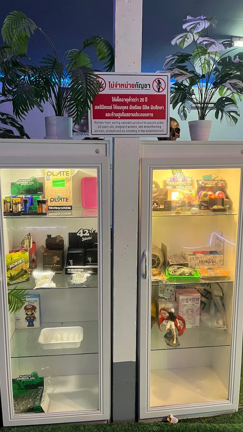 E Shop Cannabis