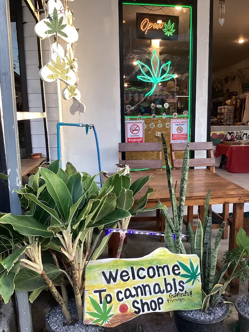 Enjoy Cannabis Shop(เอ็นจอย แคนนาบิส ช็อป)