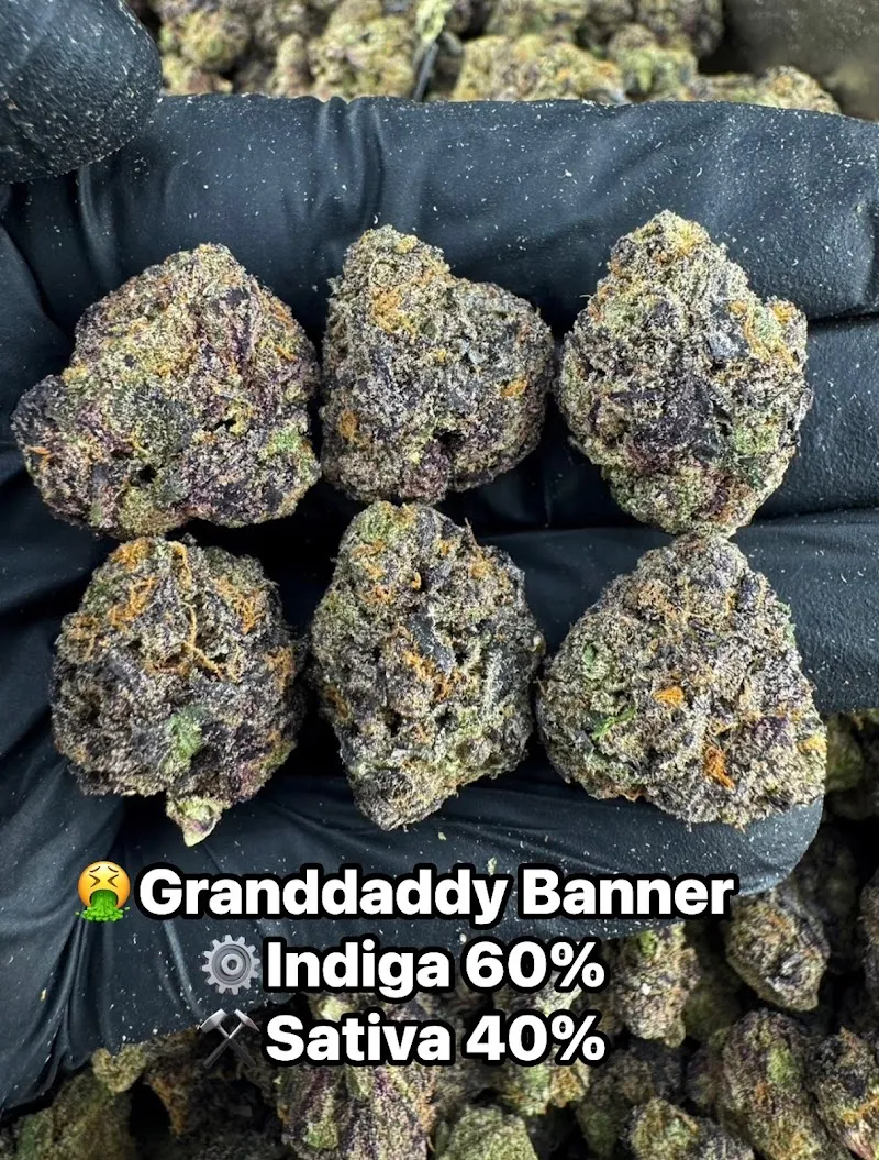 Exotic Cannabis & Bar Hatyai