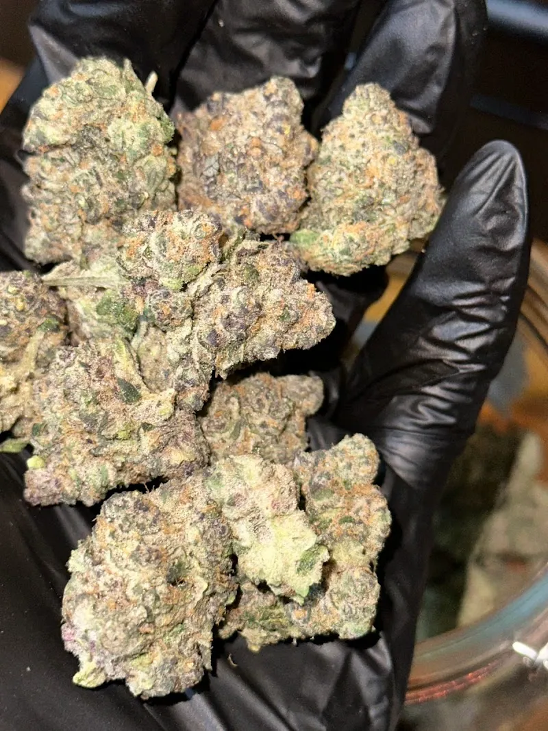 FAIRA LAND 420