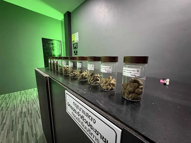ร้านกัญชา Flower house cannabis @Suratthani