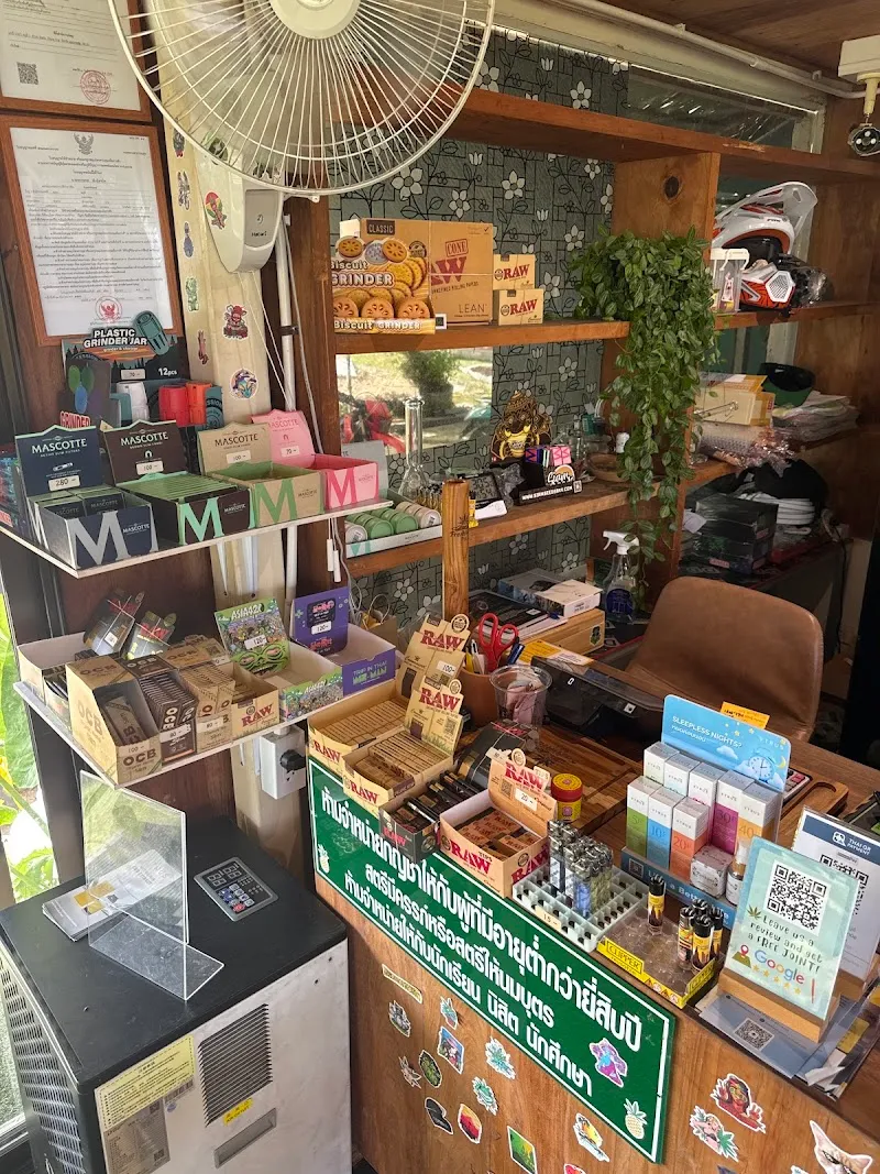 Fresh Weed Pai Cafe & Viewpoint (Cannabis & Coffee Shop)