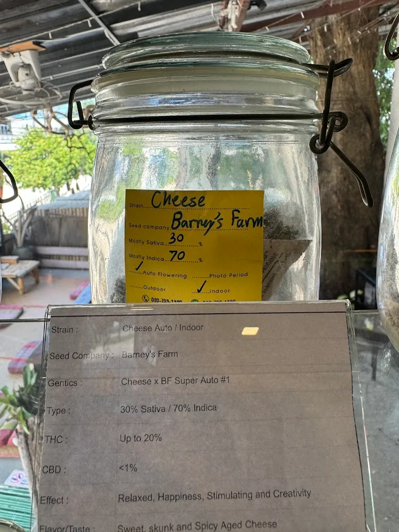Ganja Cannabis Shop & Snooker Club Bar Koh Tao