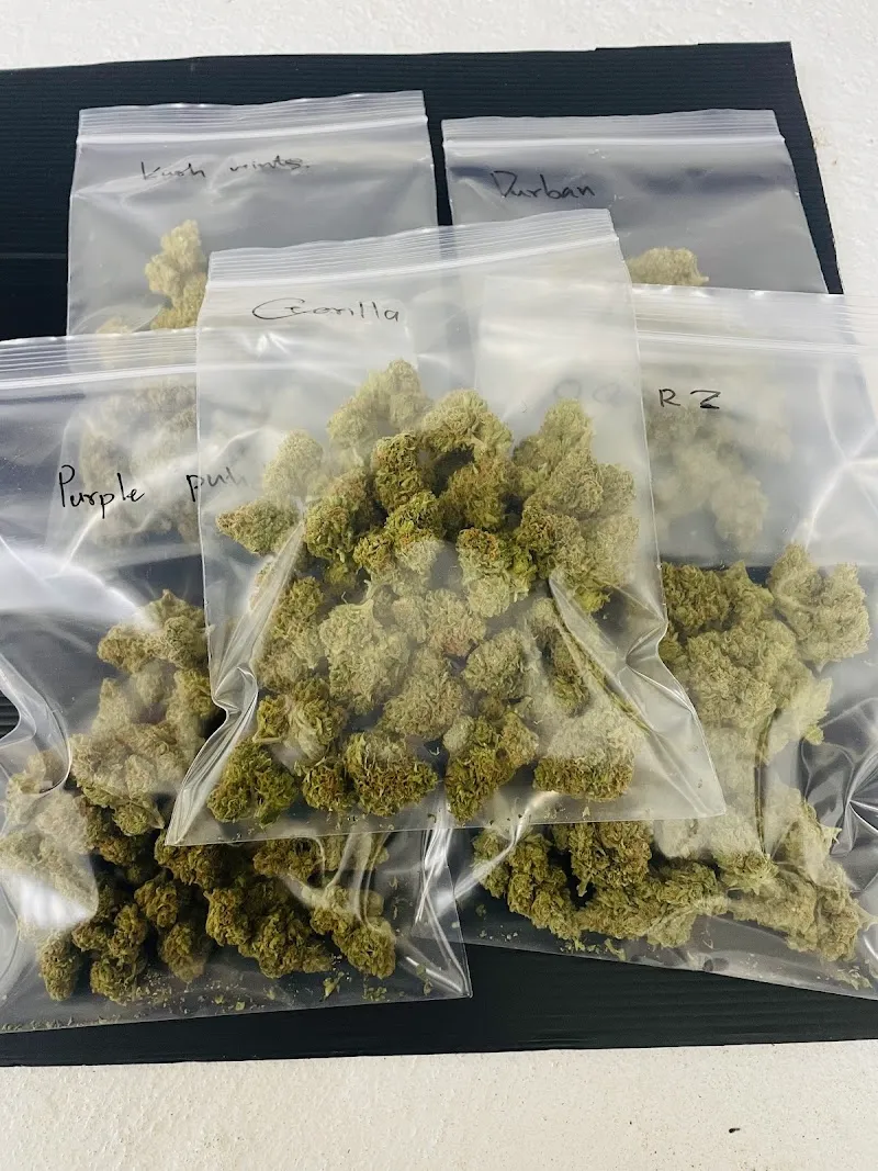 Ganjaland