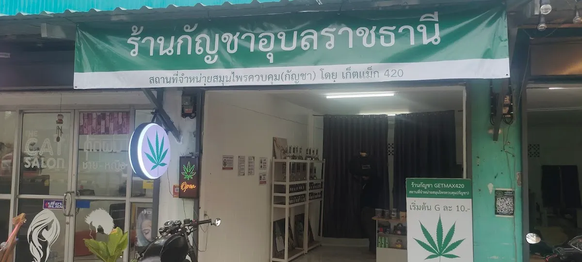 ร้านกัญชา หนองบัว GetMax420