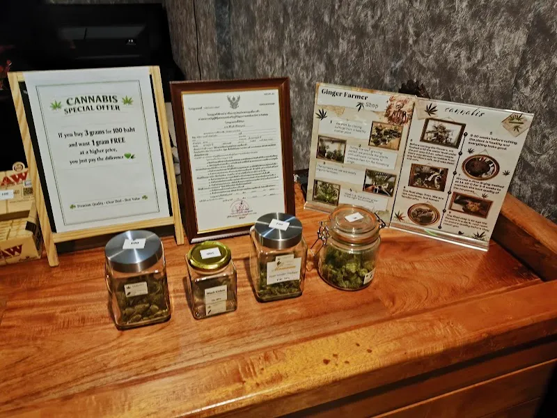 Ginger cannabis