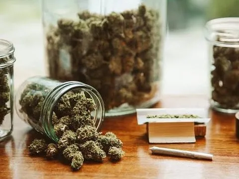 Green Room Phuket - Cannabis Dispensary